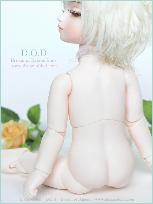 DOB Body