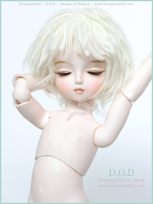 DOB Body