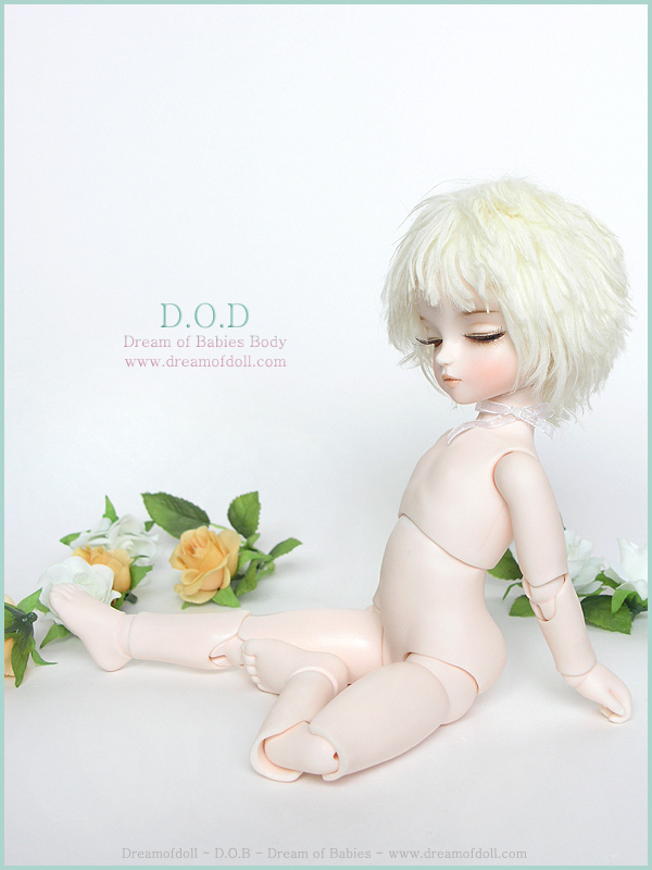 DOB Body