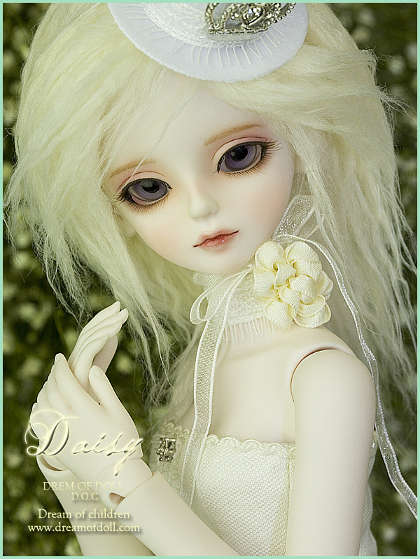 Daisy