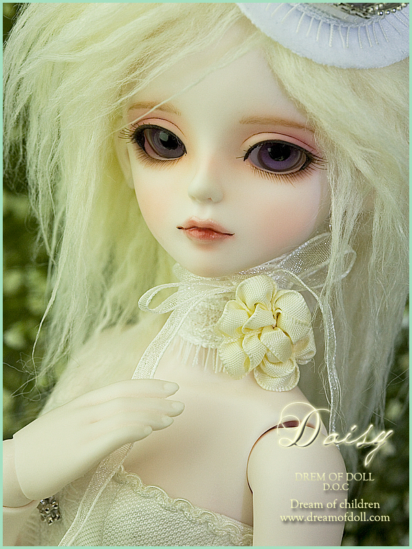 Daisy