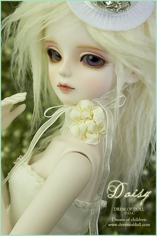 Daisy