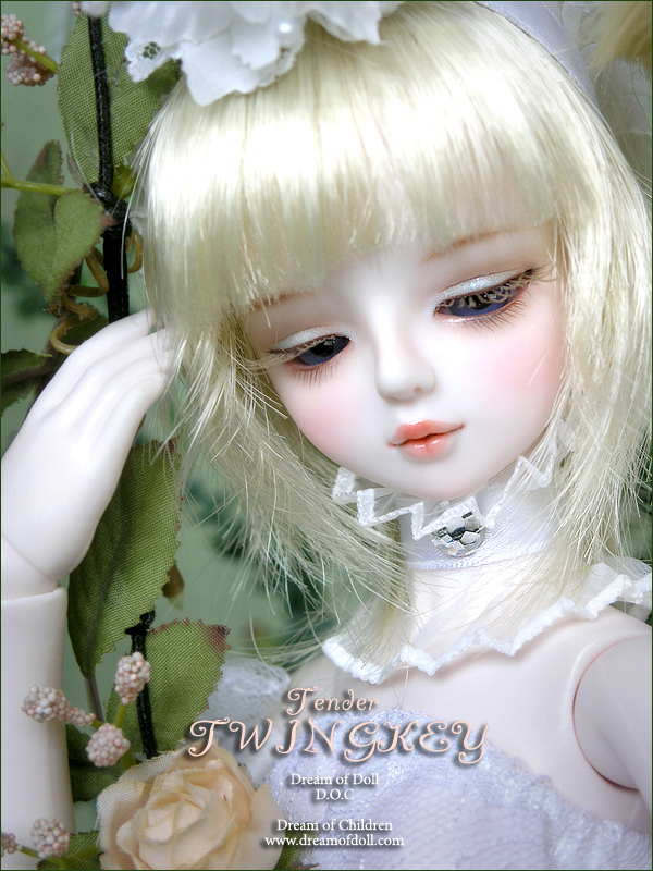 Tender Twing-Key