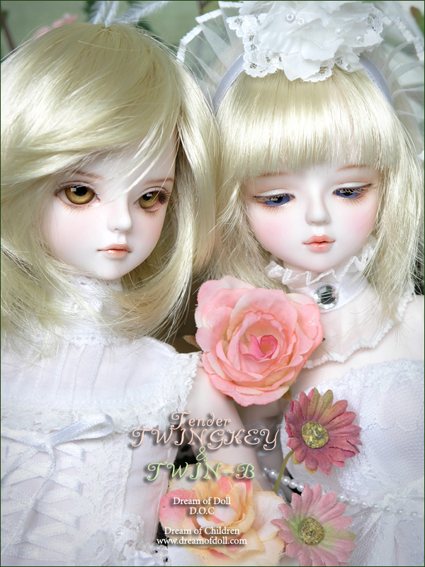 Tender Twing-Key & Twin-B