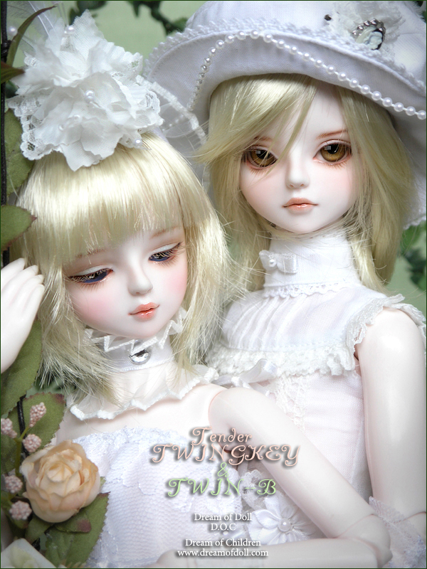 Tender Twing-Key & Twin-B