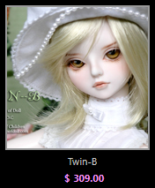 Twin-B