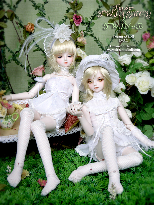 Twin-B
