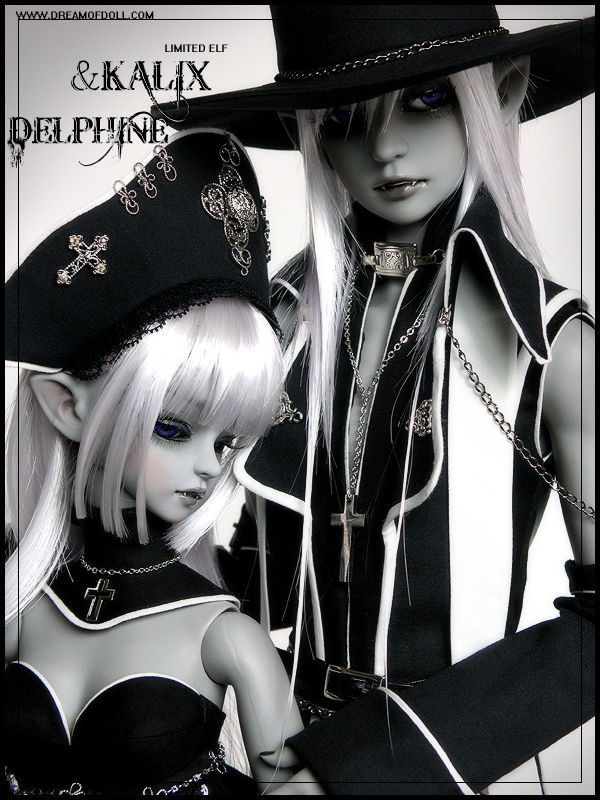 Limited Delphine