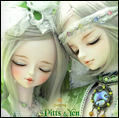 Sleeping Elf Pitts & Yen